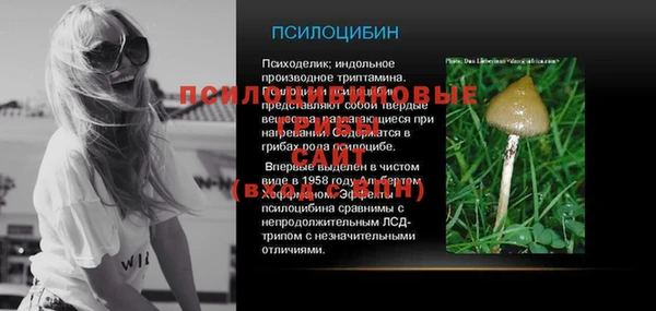 индика Гусиноозёрск