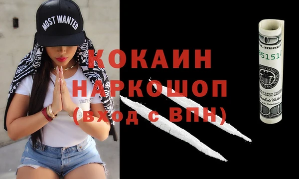 гашик Гусь-Хрустальный