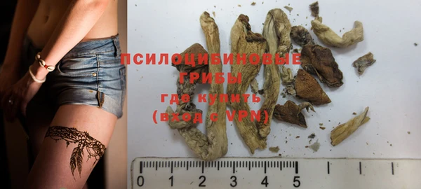 индика Гусиноозёрск