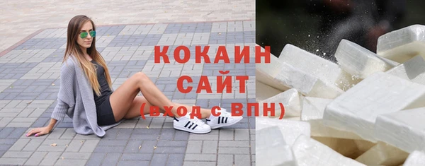 дурь Гусев