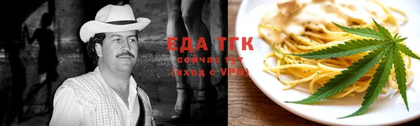 дурь Гусев