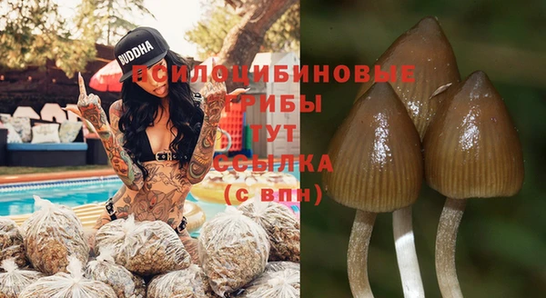 гашик Гусь-Хрустальный