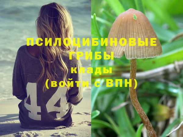 гашик Гусь-Хрустальный