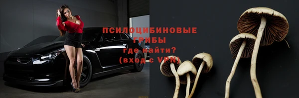 гашик Гусь-Хрустальный