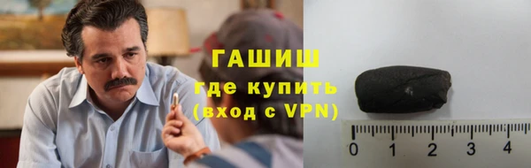 индика Гусиноозёрск