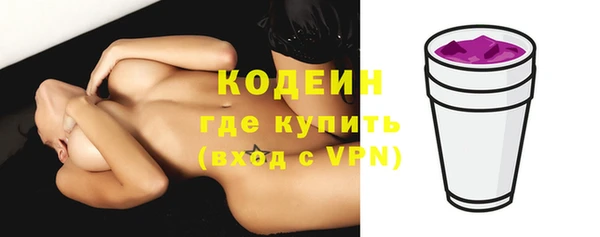 гашик Гусь-Хрустальный