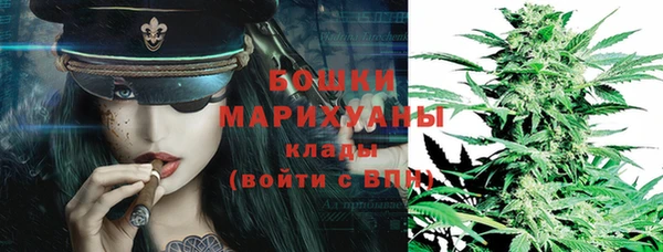 гашик Гусь-Хрустальный