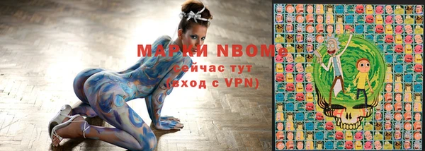 индика Гусиноозёрск
