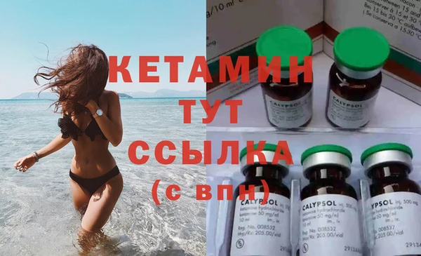 индика Гусиноозёрск
