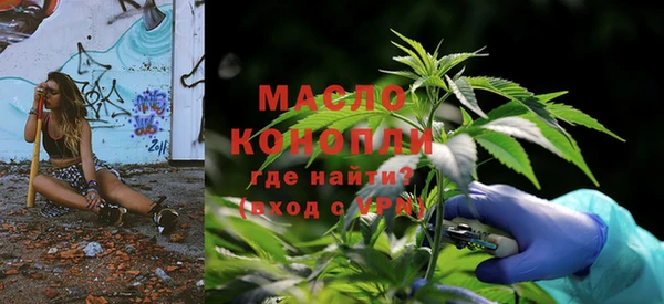 гашик Гусь-Хрустальный