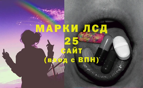 гашик Гусь-Хрустальный