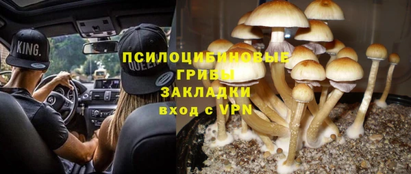 гашик Гусь-Хрустальный