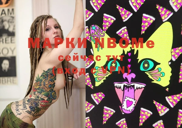 индика Гусиноозёрск