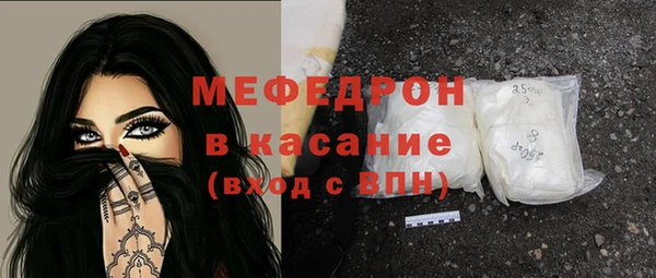индика Гусиноозёрск