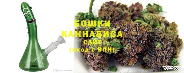 индика Гусиноозёрск