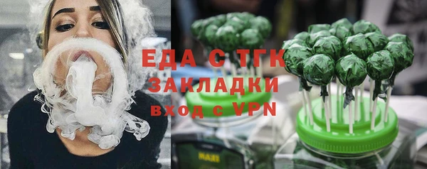 индика Гусиноозёрск