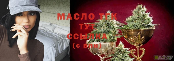 индика Гусиноозёрск