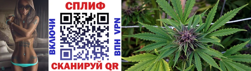 закладка  KRAKEN ТОР  Шишки марихуана индика  Ставрополь 